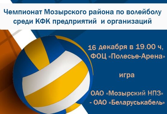 Чемпионат Мозырского района по волейболу