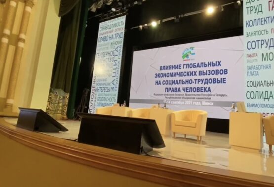 В Минске проходит Международная конференция «Влияние глобальных экономических вызовов на социально-трудовые права человека»