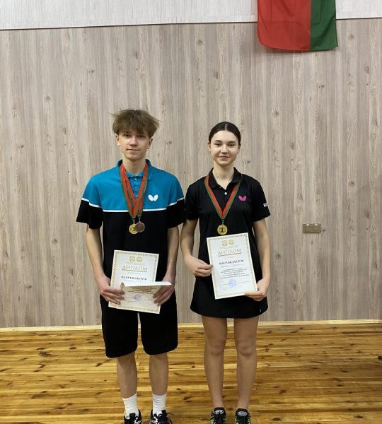 Первенство Гомельской области по настольному теннису